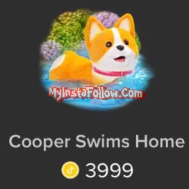 Cooper Swims Home Tiktok Gift